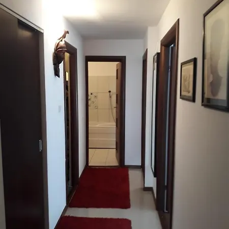 Apartament Alexe *